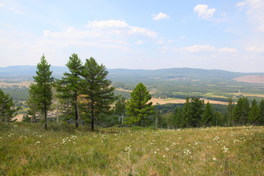 Similar image 226148