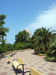 Similar image 226164