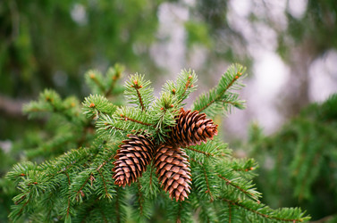 Similar image 226172