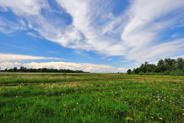 Similar image 226190