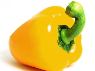 Similar image 226251