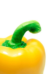 Similar image 226270