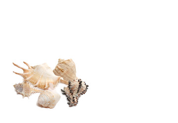 Similar image 226296