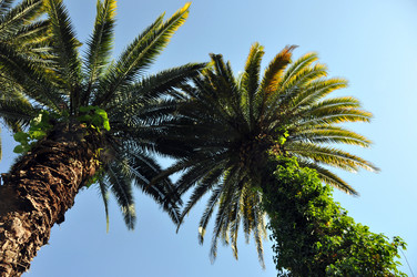 Similar image 226301