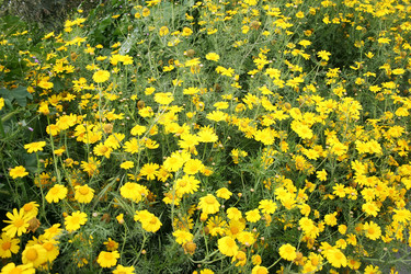 Similar image 226352