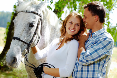 Similar image 226383