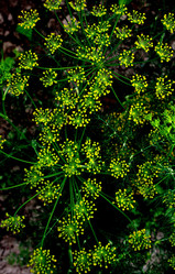 Similar image 226391