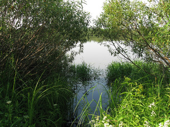 Similar image 226392