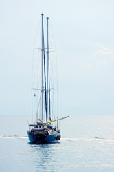 Similar image 226405