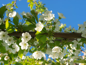 Similar image 226407