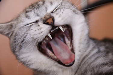 Similar image 226423