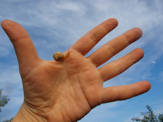 Similar image 226434