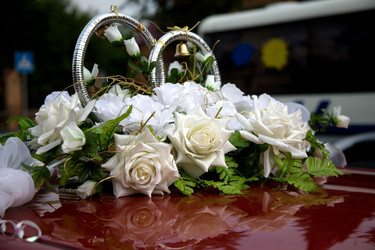 Similar image 226438