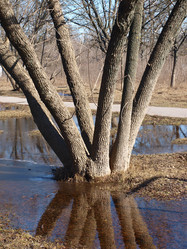 Similar image 226440