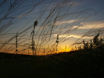 Similar image 226443