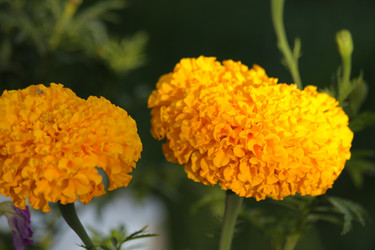 Similar image 226474