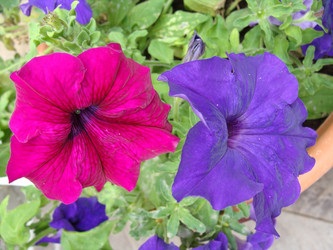 Similar image 226475