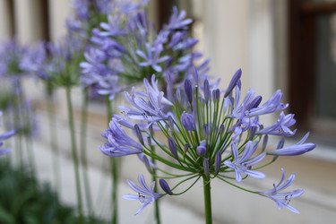 Similar image 226484