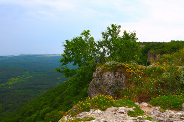 Similar image 226487