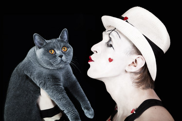 Similar image 226503