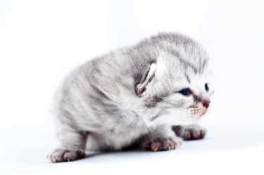 Similar image 226507