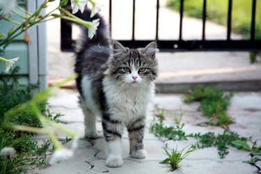 Similar image 226508