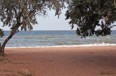 Similar image 226509