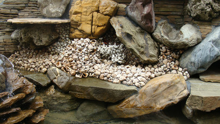 Similar image 226512