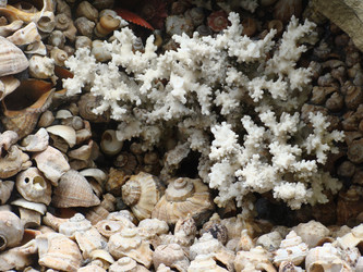 Similar image 226517