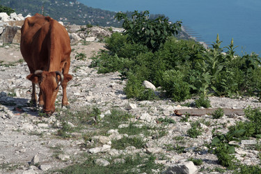 Similar image 226553