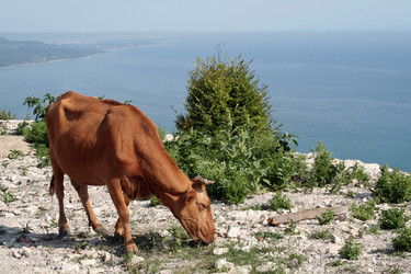 Similar image 226562