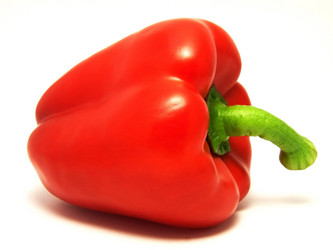 Similar image 226564