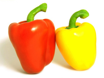 Similar image 226566