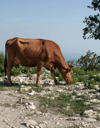 Similar image 226568