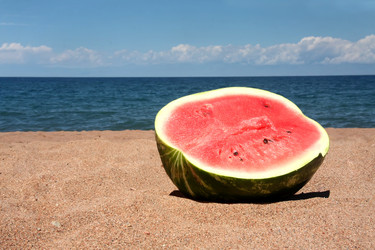 Similar image 226579