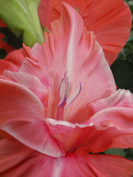 Similar image 226599