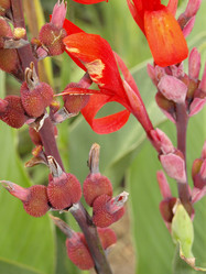 Similar image 226609