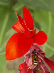 Similar image 226611