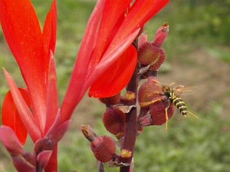 Similar image 226614