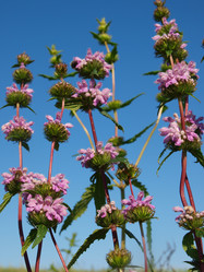 Similar image 226629