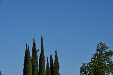 Similar image 226636