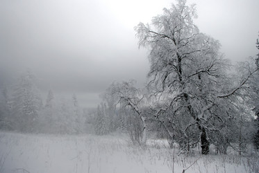 Similar image 226648