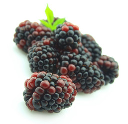 Similar image 226662