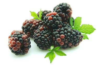 Similar image 226663