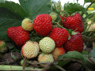 Similar image 226667