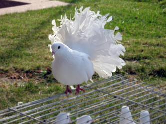 Similar image 226668