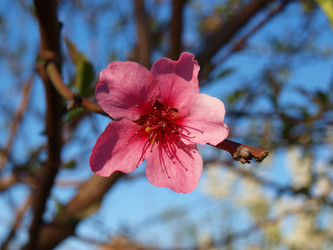 Similar image 226680