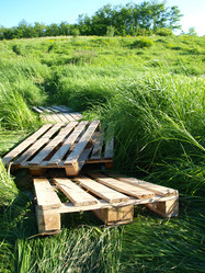 Similar image 226682