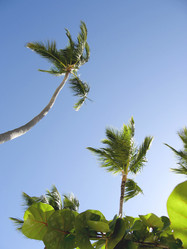 Similar image 226683