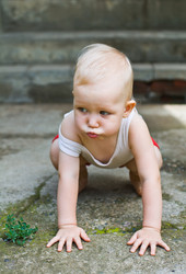 Similar image 226686